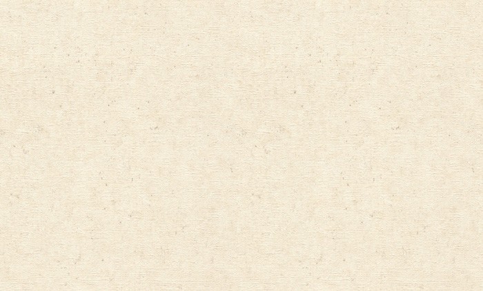 Обои 974218 Rasch Trend 1.06x10.05