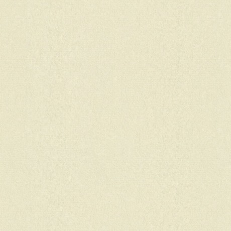 Обои Rasch Maximum XIV 949919